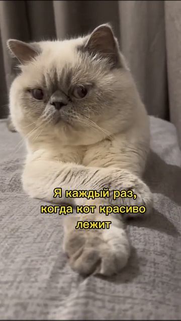 Ну как можно быть таким красавчиком? смотреть онлайн