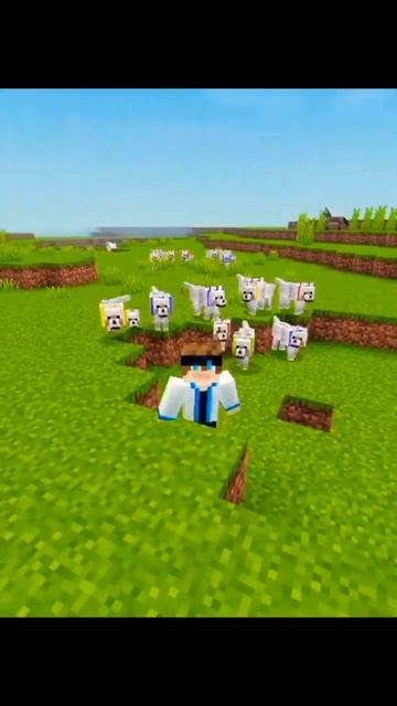 у вас есть собака? #minecraft смотреть онлайн