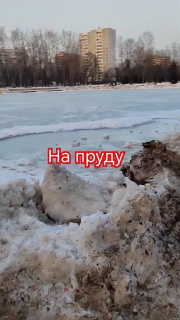 #пруд #март #снег смотреть онлайн