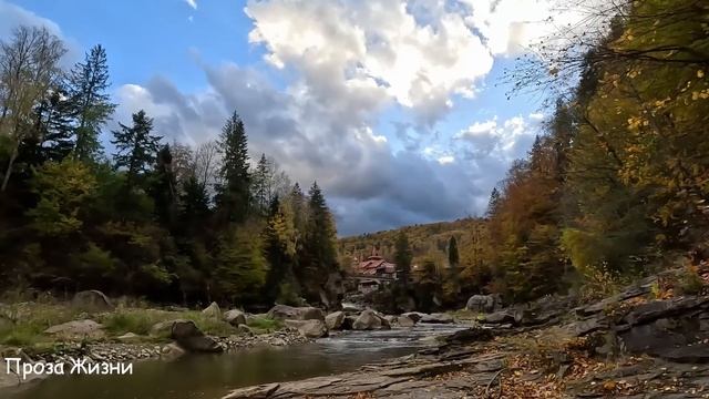 -Хочешь новый ремонт, пожалуйста, руки есть! А мне нужн? смотреть онлайн