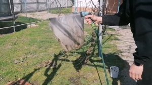 Расконсервация бассейна после зимы. Чистим воду.