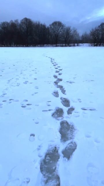 По льду через реку. Опасно! Не повторять )