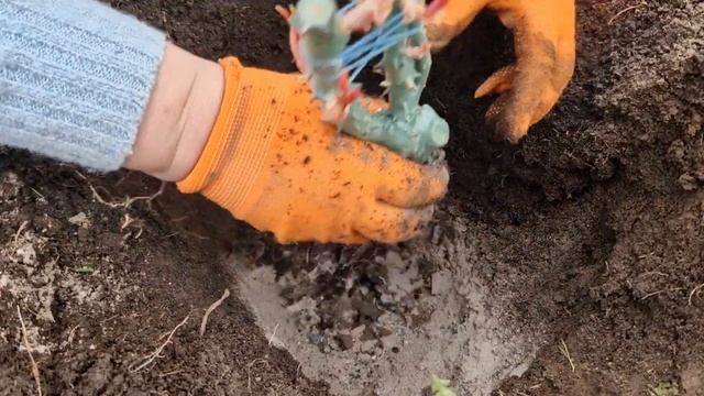 Розы от Татьяны. Стоит ли заказывать "Розы от Татьяны" смотреть онлайн