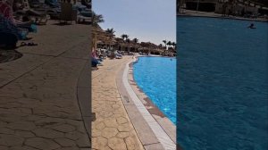 Обзор Parrotel Lagoon resort 5* отель Египет Шарм - Эль - Шейх 2025 го