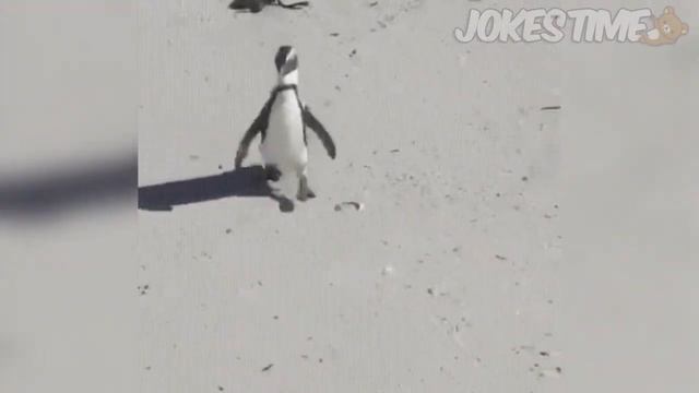 СМЕШНЫЕ ВИДЕО ПРИКОЛЫ Февраль 2021 Подборка Приколов УГАРНЫЕ ПРИКОЛЫ смотреть онлайн