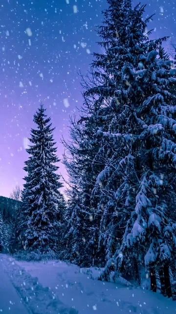 #елки#снег#зима#эстетика #новыйгод #кайф смотреть онлайн