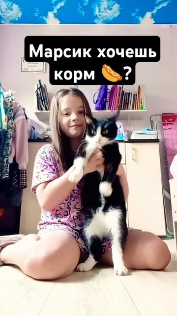 Ну наш кот ест нашу еду:] смотреть онлайн