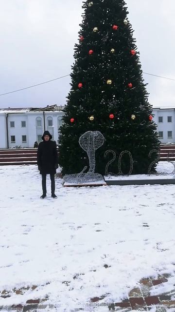 год змеи смотреть онлайн