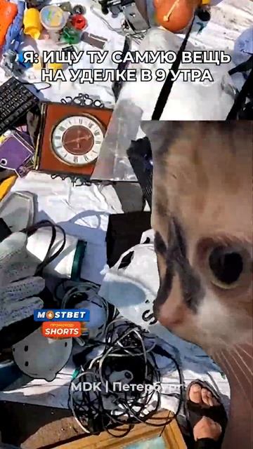 Шок! Рынок в Питере, на котором есть всё! Уделка смотреть онлайн