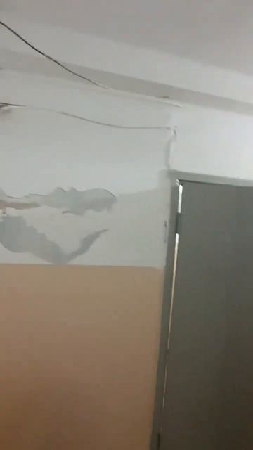 Перегородки нужно менять. смотреть онлайн