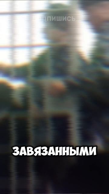 ЧТО СКРЫВАЕТСЯ В ЧЕРНОМ ДЕЛЬФИНЕ? #рекомендации #черны смотреть онлайн