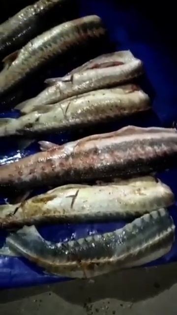 В Астраханской области полицейские нашли в багажнике смотреть онлайн