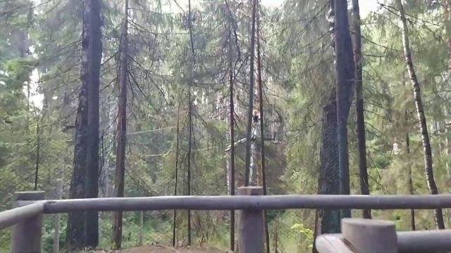 Верёвочный парк в г Плёс. Иволга. смотреть онлайн