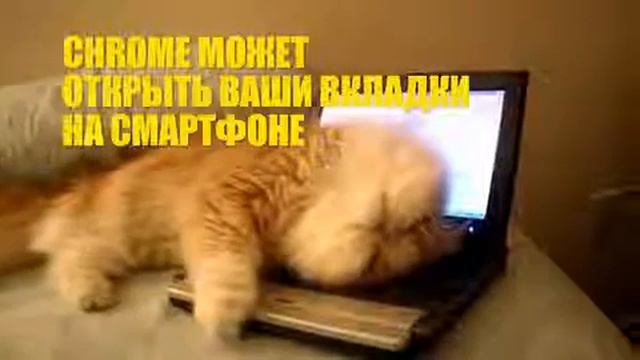 Приколы Google Chrome) смотреть онлайн