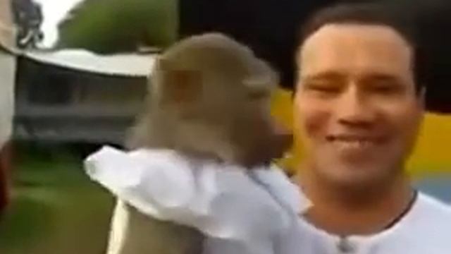 Обезьяна жжет!прикол! Давай поорем)) смотреть онлайн