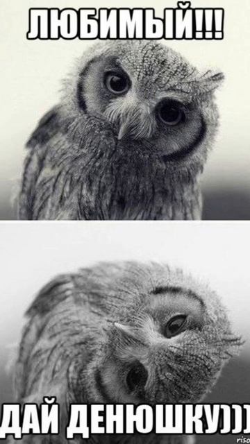 Конечно на вб 😏Нашла супер новинки:Аромасаше 274809798 Фе смотреть онлайн