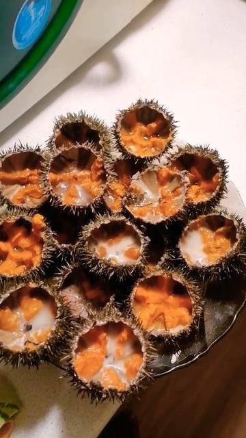 икра морских ежей. это невероятно вкусно смотреть онлайн