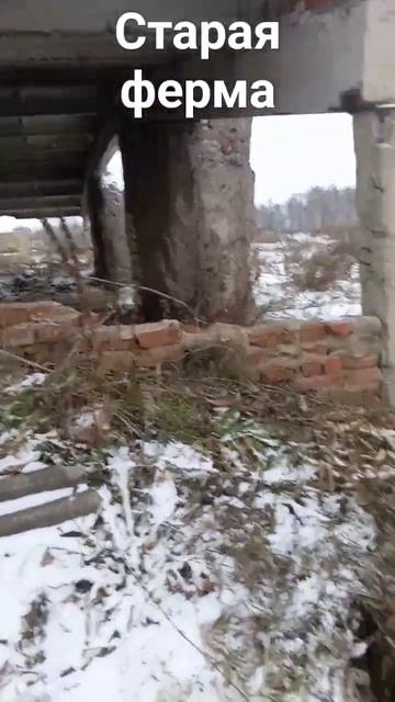 Ферма!Металл ещё есть!! смотреть онлайн