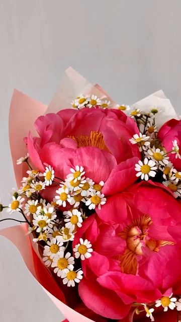 Пионы с ромашка доставим за 40 минут Новосибирск смотреть онлайн