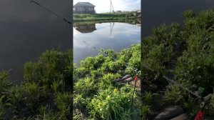 Сигнализатор поклевки. Отправь другу бубенчику. Как п?