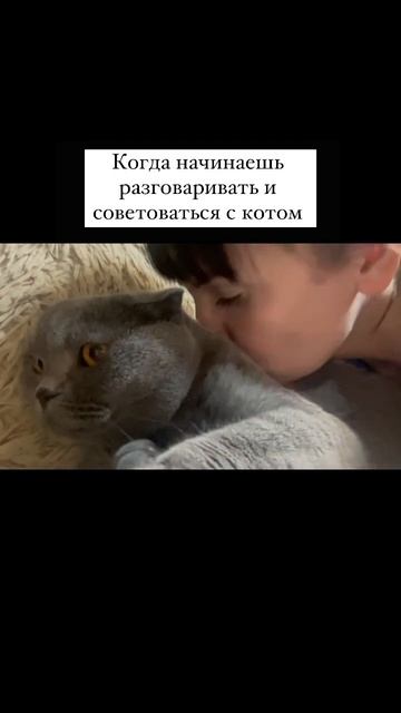 Разговариваете ли вы с котом??? Когда я устаю шить, то н? смотреть онлайн