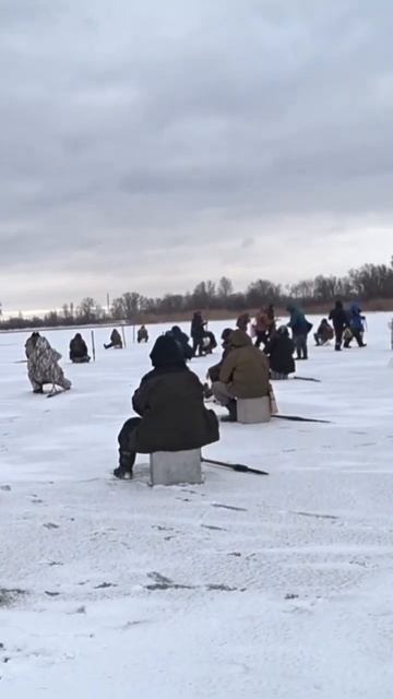 КУДА БЕГУТ РЫБАКИ? Что тут происходит?