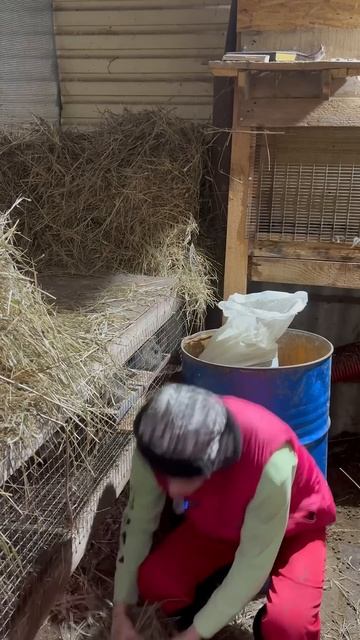 Гранулированное сено. Сено проблема многих фермеров, ? смотреть онлайн