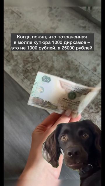 #дубай #dubai #dubaimall #шопинг #shopping смотреть онлайн