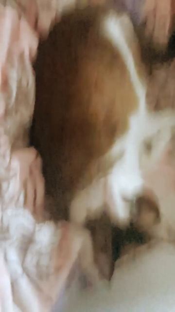 18 января 2023 г. смотреть онлайн