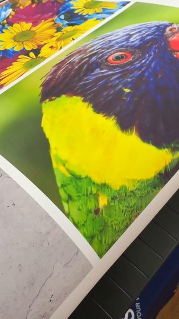 Epson SC-T3485N #Epson #SCT3485N #Печать #Искусство #Дизайн #Креатив #Художники #Графика #Широкоформ смотреть онлайн