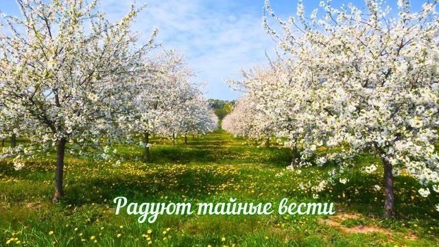 Есенин С.А. Сыплет черёмуха снегом... смотреть онлайн