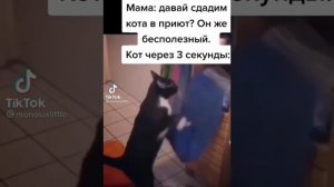 ТикТок нашел яички дяди Федора 😱