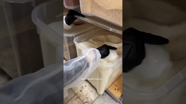 «МАГИЯ МАСЛА»- отжимаем, упаковываем в бутылочки и дос смотреть онлайн