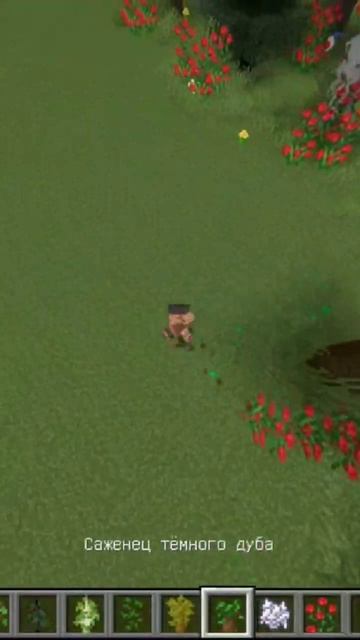 Улучшаем мир с вами #shots #shorts #short #shortvideo #minecraft