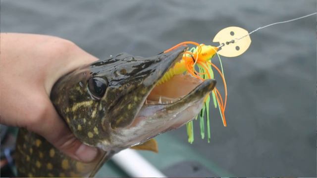 Уловистые Приманки на Щуку для Мелководий ТОП 100500 Жиз?