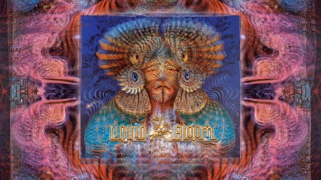 Liquid Bloom DJ Set @ Meow Wolf Santa Fe смотреть онлайн