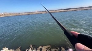 Первое впечатление про Zertix headway