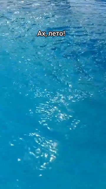 Лето #лето #жара #бассейн смотреть онлайн