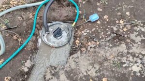 Абиссинка на 7м.  с хорошей водой.