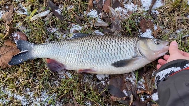 Рыбалка в СПб приятный осенний бонус ❤️