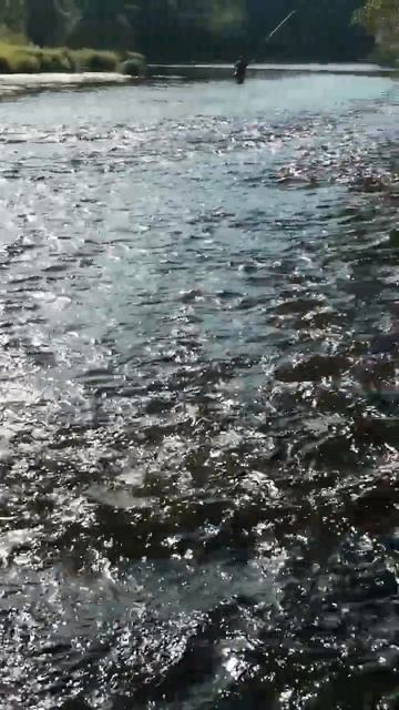 У реки два берега. смотреть онлайн