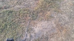 PURELURE NEW MIIEC Silver Feather - чё по чём 🤔 (и пара очень грязных с