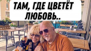 10. КАК ВЫГЛЯДИТ СЧАСТЬЕ- ВДОХНОВЕНИЕ В КАЖДОМ ЛЕПЕСТКЕ.