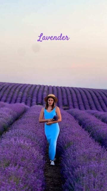 В КРЫМУ ЕСТЬ ВСЁ 😍 И ДАЖЕ ПРОВАНС 💜 #крым #travel #отдыхв? смотреть онлайн