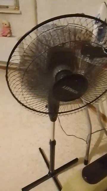 Первое задание выполнил! 23.07.24#не_яша #добро смотреть онлайн