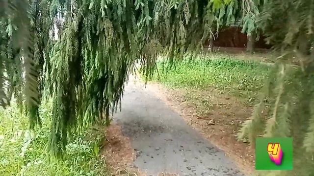 Даже не знала, что в городе есть такое место смотреть онлайн