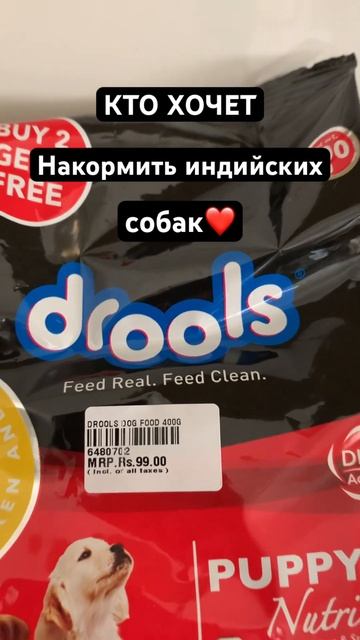 Акция!!!  Покорми собаку в Путтапарти❤️ #путтапарти #и?