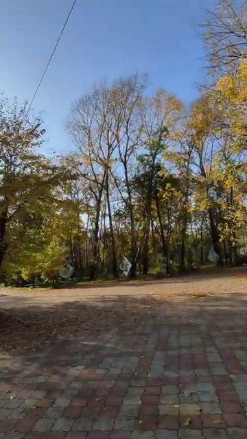 07.10.2023 Поездка по осеннему парку ЗЛК Комсомольск-на-Ам? смотреть онлайн