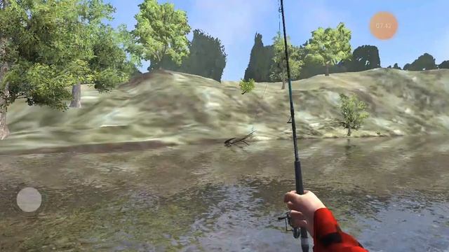 24 декабря 2024 г.