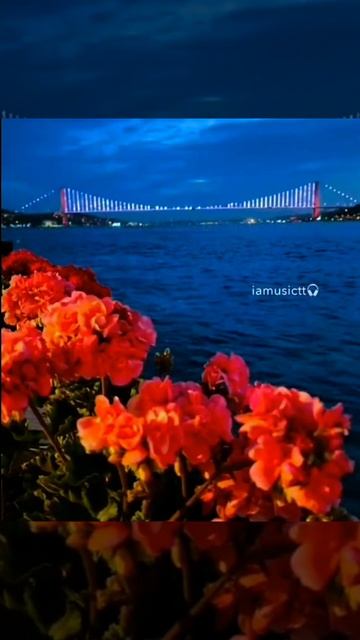 ЭтОт ТрЕк😻💔 #врекамендации #рек 🗣 смотреть онлайн